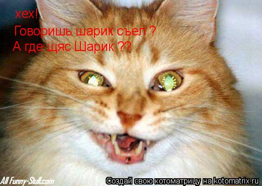 Котоматрица: хех! Говоришь шарик съел ? А где щяс Шарик ??