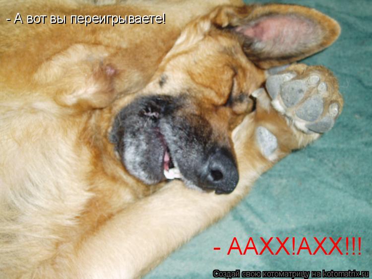 Котоматрица: - А вот вы переигрываете! - ААХХ!АХХ!!!