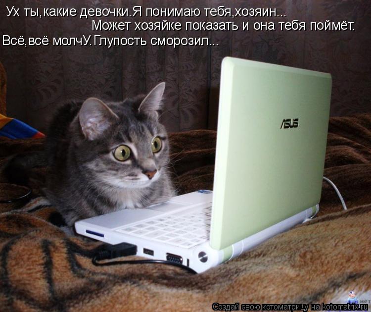 Котоматрица: Ух ты,какие девочки.Я понимаю тебя,хозяин... Может хозяйке показать и она тебя поймёт. Всё,всё молчУ.Глупость сморозил...