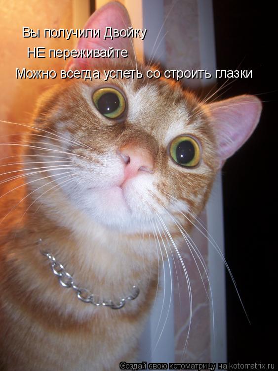 Котоматрица: Вы получили Двойку НЕ переживайте Можно всегда успеть со строить глазки
