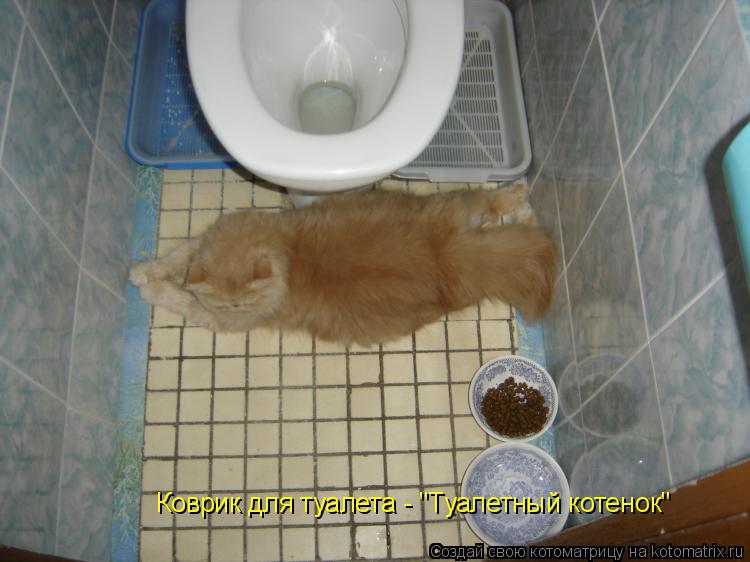 Котоматрица: Коврик для туалета - "Туалетный котенок"