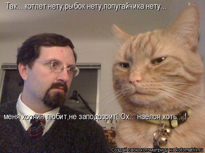 Котоматрица: Так... котлет нету,рыбок нету,попугайчика нету... меня хозяин любит,не заподозрит! Ох... наелся хоть....!