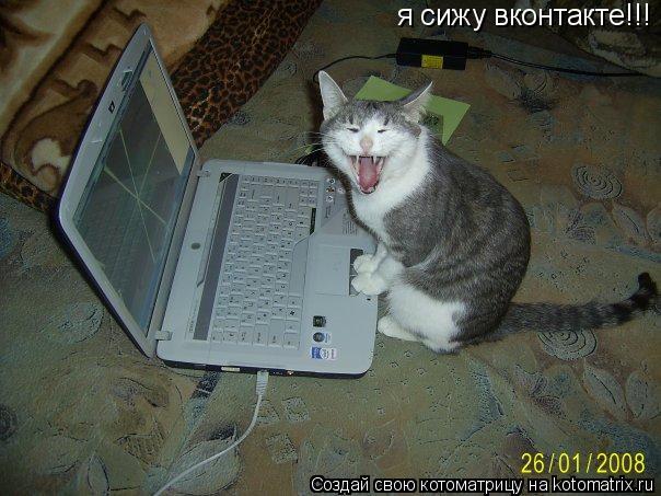 Котоматрица: я сижу вконтакте!!!