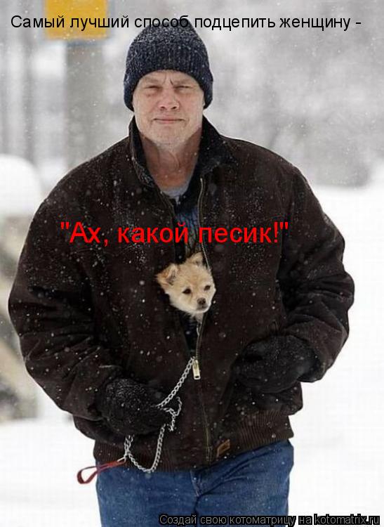 Самый лучший способ подцепить женщину - "Ах, какой песик!"... Котоматрица: Самый лучший способ подцепить женщину - "Ах, какой песик!"