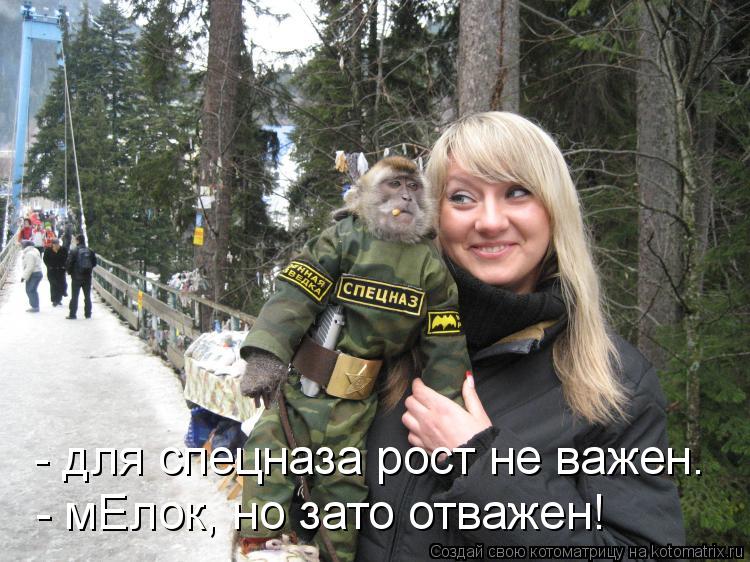 - для спецназа рост не важен. - мЕлок, но зато отважен!... Котоматрица: - для спецназа рост не важен. - мЕлок, но зато отважен!