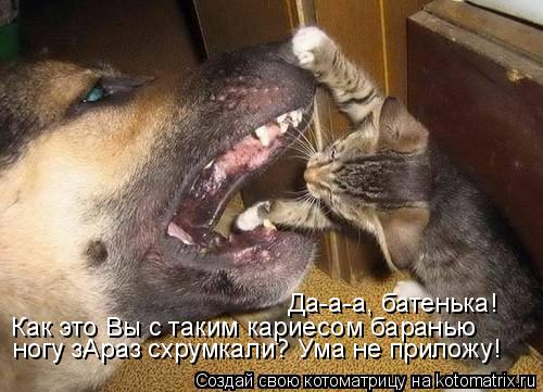 ногу зАраз схрумкали? Ума не приложу! Как это Вы с таким кариесом баранью Да-а-а, батенька!... Котоматрица: ногу зАраз схрумкали? Ума не приложу! Как это Вы с таким кариесом баранью Да-а-а, батенька!