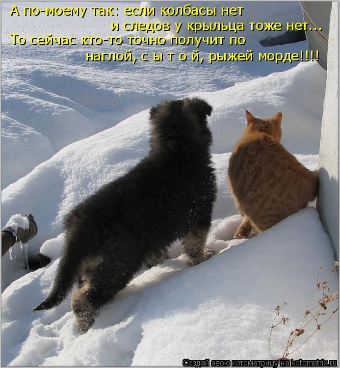 А по-моему так: если колбасы нет и следов у крыльца тоже нет... То сейчас кто-то точно получит по на... Котоматрица: А по-моему так: если колбасы нет и следов у крыльца тоже нет... То сейчас кто-то точно получит по наглой, с ы т о й, рыжей морде!!!!