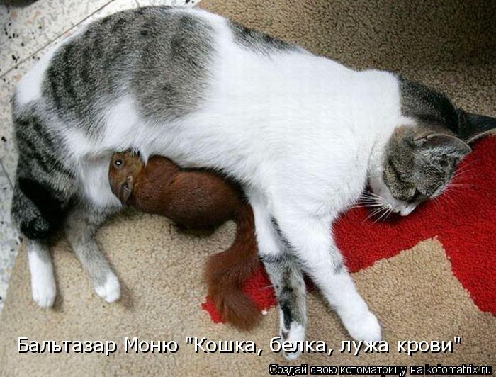 Бальтазар Моню "Кошка, белка, лужа крови"... Котоматрица: Бальтазар Моню "Кошка, белка, лужа крови"