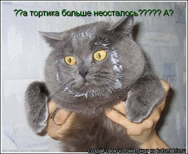 ??а тортика больше неосталось????? А?... Котоматрица: ??а тортика больше неосталось????? А?