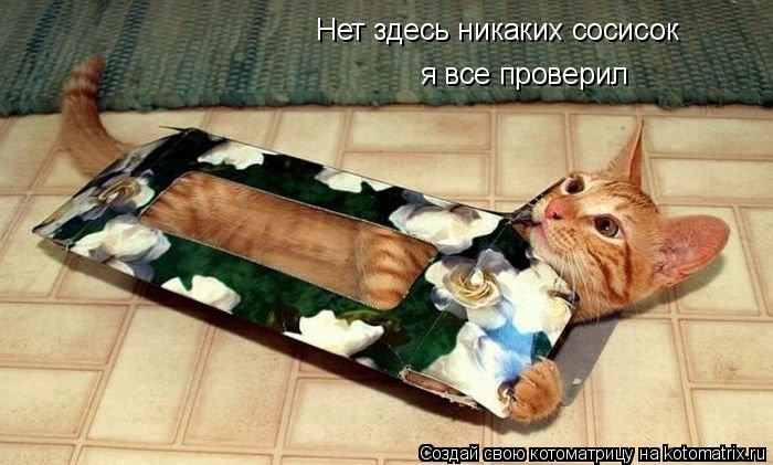 Нет здесь никаких сосисок я все проверил... Котоматрица: Нет здесь никаких сосисок я все проверил