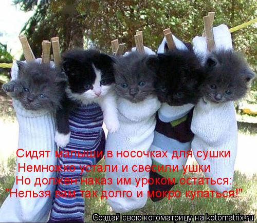 Сидят малыши,в носочках для сушки Немножко устали и свесили ушки Но должен наказ им уроком остаться: ... Котоматрица: Сидят малыши,в носочках для сушки Немножко устали и свесили ушки Но должен наказ им уроком остаться: "Нельзя вам так долго и мокро купаться!"