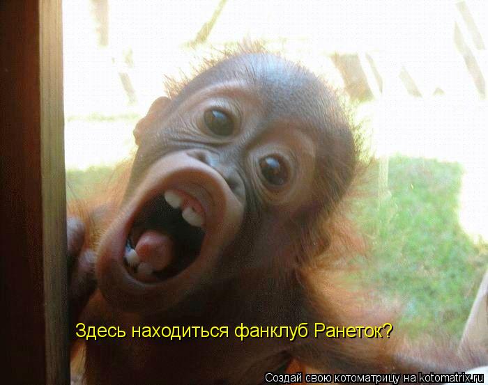 Здесь находиться фанклуб Ранеток?... Котоматрица: Здесь находиться фанклуб Ранеток?