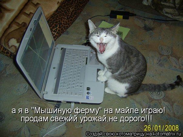 а я в "Мышиную ферму" на майле играю! продам свежий урожай,не дорого!!!... Котоматрица: а я в "Мышиную ферму" на майле играю! продам свежий урожай,не дорого!!!
