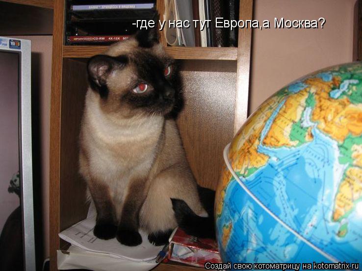 -где у нас тут Европа,а Москва?... Котоматрица: -где у нас тут Европа,а Москва?