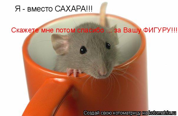 Котоматрица: Я - вместо САХАРА!!! Скажете мне потом спасибо ... за Вашу ФИГУРУ!!!