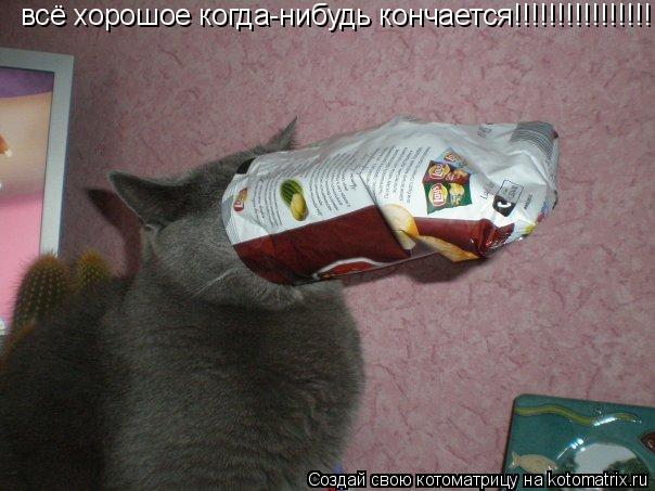 всё хорошое когда-нибудь кончается!!!!!!!!!!!!!!!!!!!!!!!!!... Котоматрица: всё хорошое когда-нибудь кончается!!!!!!!!!!!!!!!!!!!!!!!!!