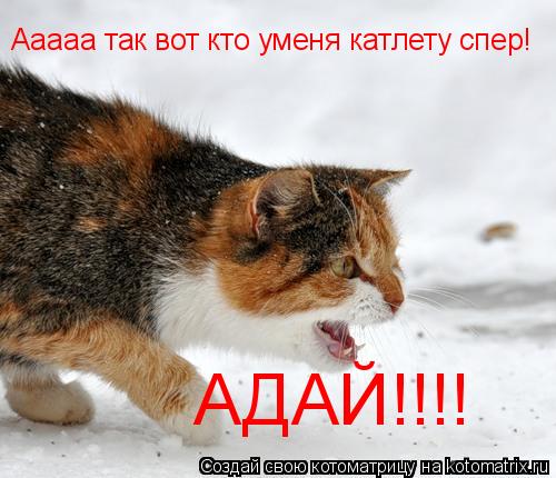Ааааа так вот кто уменя катлету спер! АДАЙ!!!!... Котоматрица: Ааааа так вот кто уменя катлету спер! АДАЙ!!!!