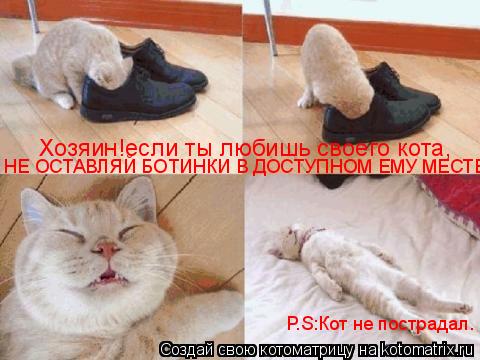 Хозяин!если ты любишь своего кота, НЕ ОСТАВЛЯЙ БОТИНКИ В ДОСТУПНОМ ЕМУ МЕСТЕ. P.S:Кот не пострадал.... Котоматрица: Хозяин!если ты любишь своего кота, НЕ ОСТАВЛЯЙ БОТИНКИ В ДОСТУПНОМ ЕМУ МЕСТЕ. P.S:Кот не пострадал.