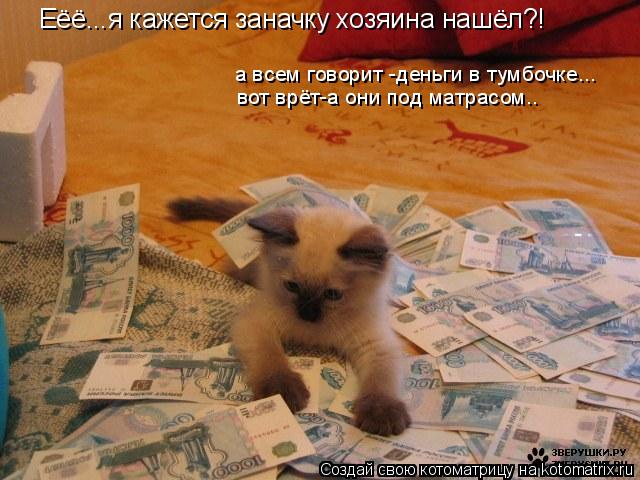 Котоматрица: Еёё...я кажется заначку хозяина нашёл?! а всем говорит -деньги в тумбочке... вот врёт-а они под матрасом..