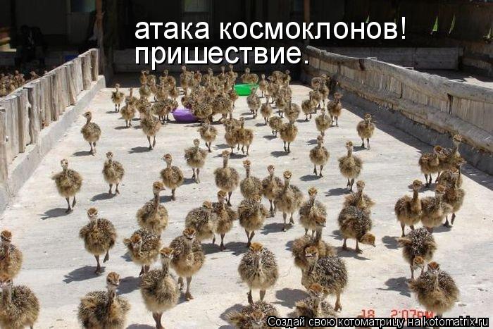 Котоматрица: атака космоклонов! пришествие.