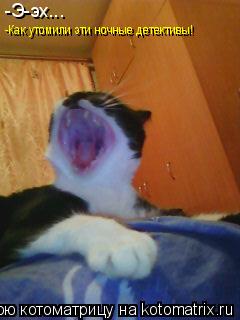 Котоматрица: -Э-эх... -Как утомили эти ночные детективы!