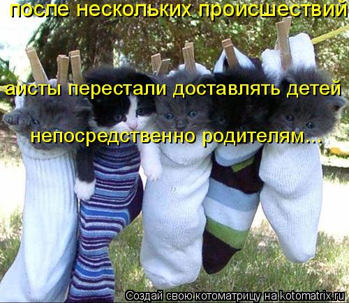 Котоматрица: после нескольких происшествий аисты перестали доставлять детей непосредственно родителям...