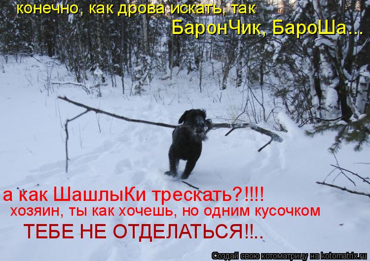 Котоматрица: конечно, как дрова искать, так БаронЧик, БароШа... а как ШашлыКи трескать?!!!! хозяин, ты как хочешь, но одним кусочком ТЕБЕ НЕ ОТДЕЛАТЬСЯ!!..
