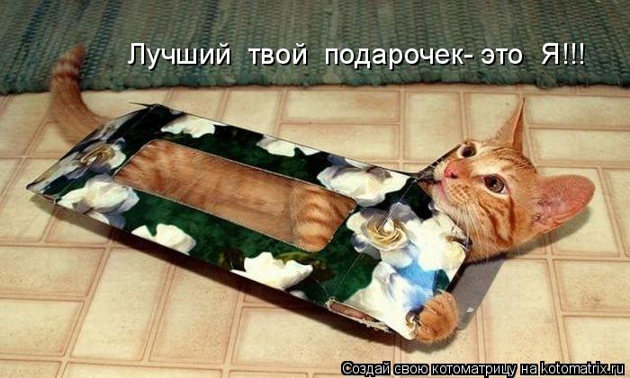 Котоматрица: Лучший  твой  подарочек- это  Я!!!