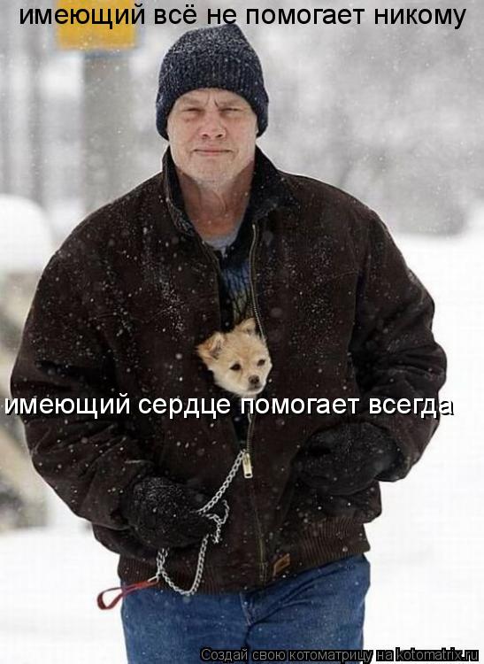 Котоматрица: имеющий всё не помогает никому имеющий сердце помогает всегда