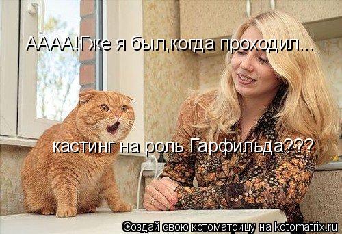 Котоматрица: АААА!Гже я был,когда проходил... кастинг на роль Гарфильда???