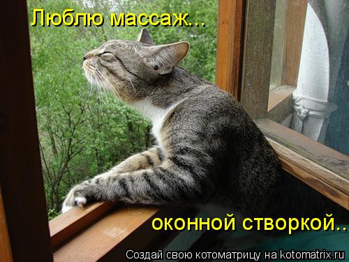 Котоматрица: Люблю массаж... оконной створкой...