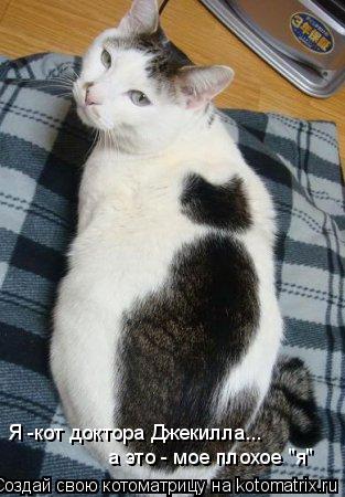 Котоматрица: Я -кот доктора Джекилла...  а это - мое плохое "я"