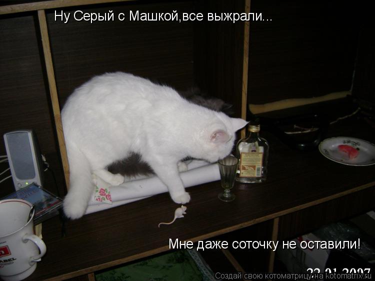 Котоматрица: Ну Серый с Машкой,все выжрали... Мне даже соточку не оставили!
