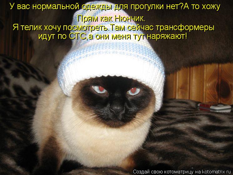 Котоматрица: У вас нормальной одежды для прогулки нет?А то хожу Прям как Нюнчик. Я телик хочу посмотреть.Там сейчас трансформеры идут по СТС,а они меня ту