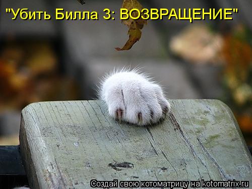 Котоматрица: "Убить Билла 3: ВОЗВРАЩЕНИЕ"