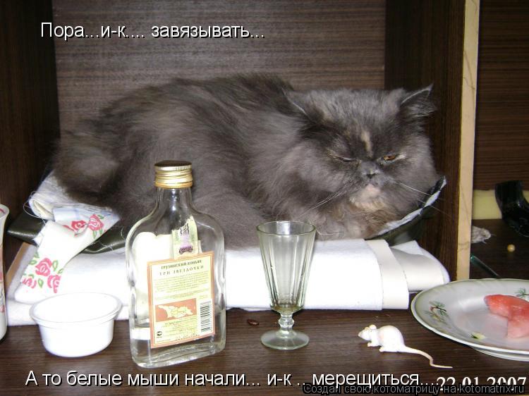 Котоматрица: Пора...и-к.... завязывать... А то белые мыши начали... и-к .. мерещиться....