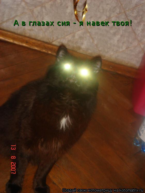 Котоматрица: А в глазах сия - я навек твоя!