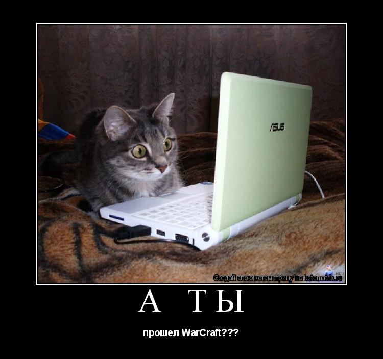 А ты прошел WarCraft???... Котоматрица: А ты прошел WarCraft???