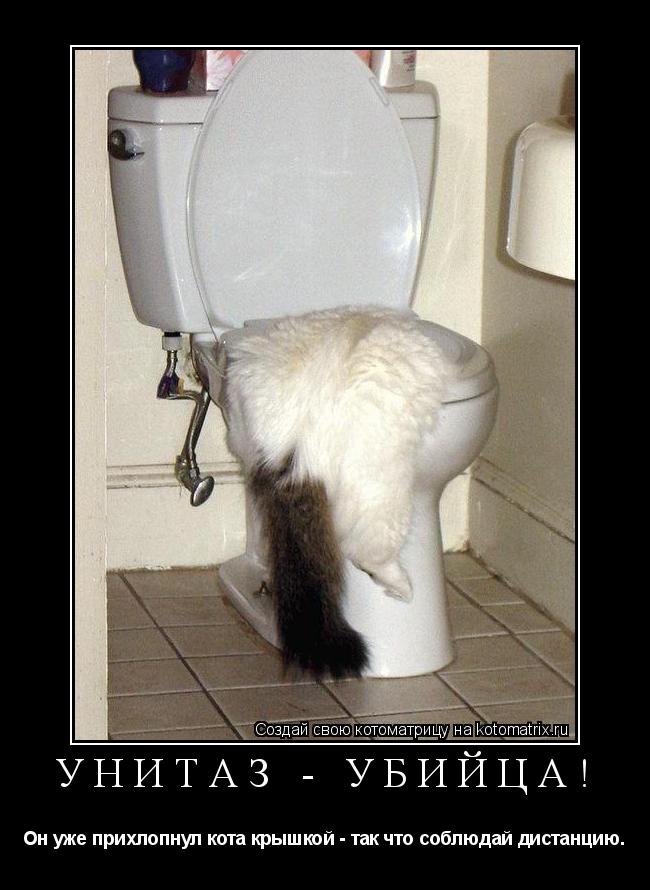 Котоматрица: унитаз - убийца! Он уже прихлопнул кота крышкой - так что соблюдай дистанцию.