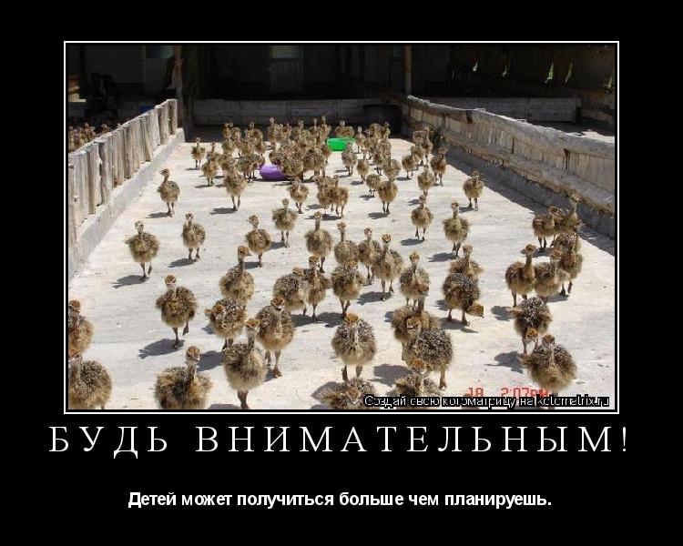 Котоматрица: Будь внимательным! Детей может получиться больше чем планируешь.