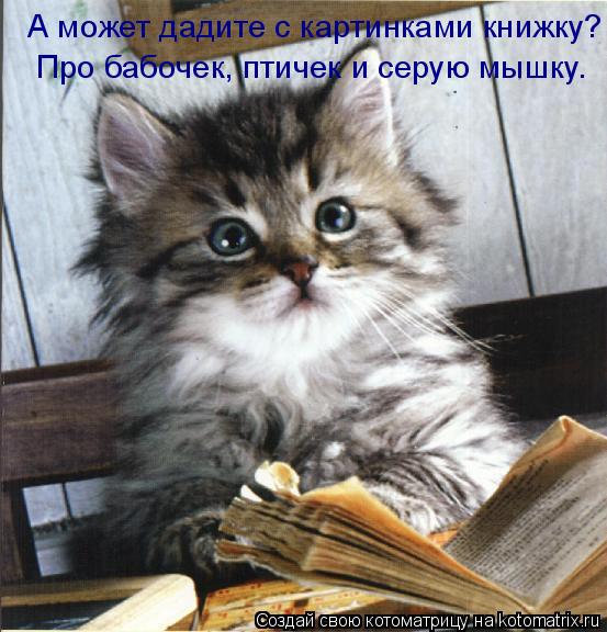 А может дадите с картинками книжку? Про бабочек, птичек и серую мышку.... Котоматрица: А может дадите с картинками книжку? Про бабочек, птичек и серую мышку.