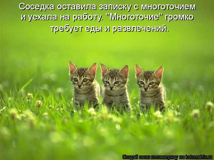 Соседка оставила записку с многоточием и уехала на работу. "Многоточие" громко требует еды и развле... Котоматрица: Соседка оставила записку с многоточием и уехала на работу. "Многоточие" громко требует еды и развлечений.