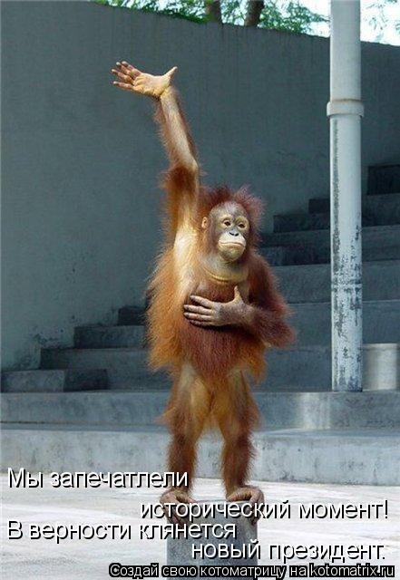 Котоматрица: Мы запечатлели исторический момент! В верности клянется новый президент.