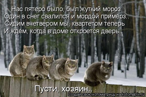 Котоматрица: Нас пятеро было, был жуткий мороз Один в снег свалился и мордой примёрз.. Сидим вчетвером мы, квартетом теперь И ждём, когда в доме откроется 