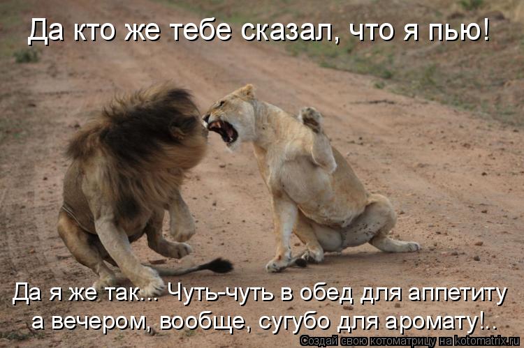 Котоматрица: Да кто же тебе сказал, что я пью! Да я же так... Чуть-чуть в обед для аппетиту а вечером, вообще, сугубо для аромату!..