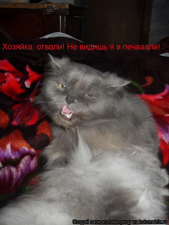 Котоматрица: Хозяйка, отвали! Не видишь я в печааали!