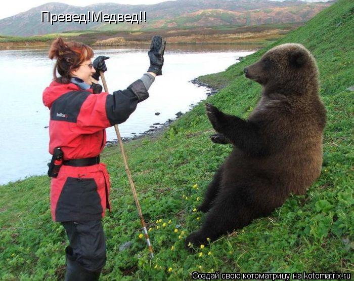 Котоматрица: Превед!Медвед!!