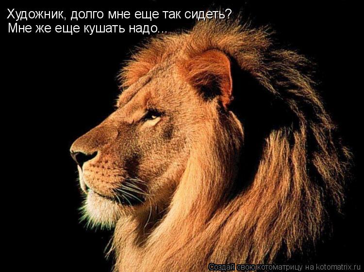Котоматрица: Художник, долго мне еще так сидеть? Мне же еще кушать надо...