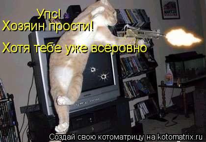 Котоматрица: Упс! Хозяин прости! Хотя тебе уже всёровно