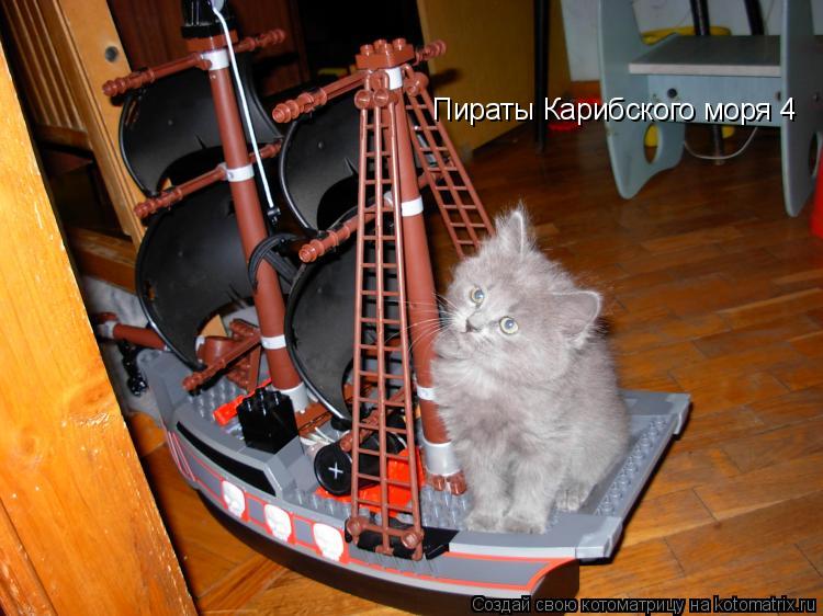 Котоматрица: Пираты Карибского моря 4